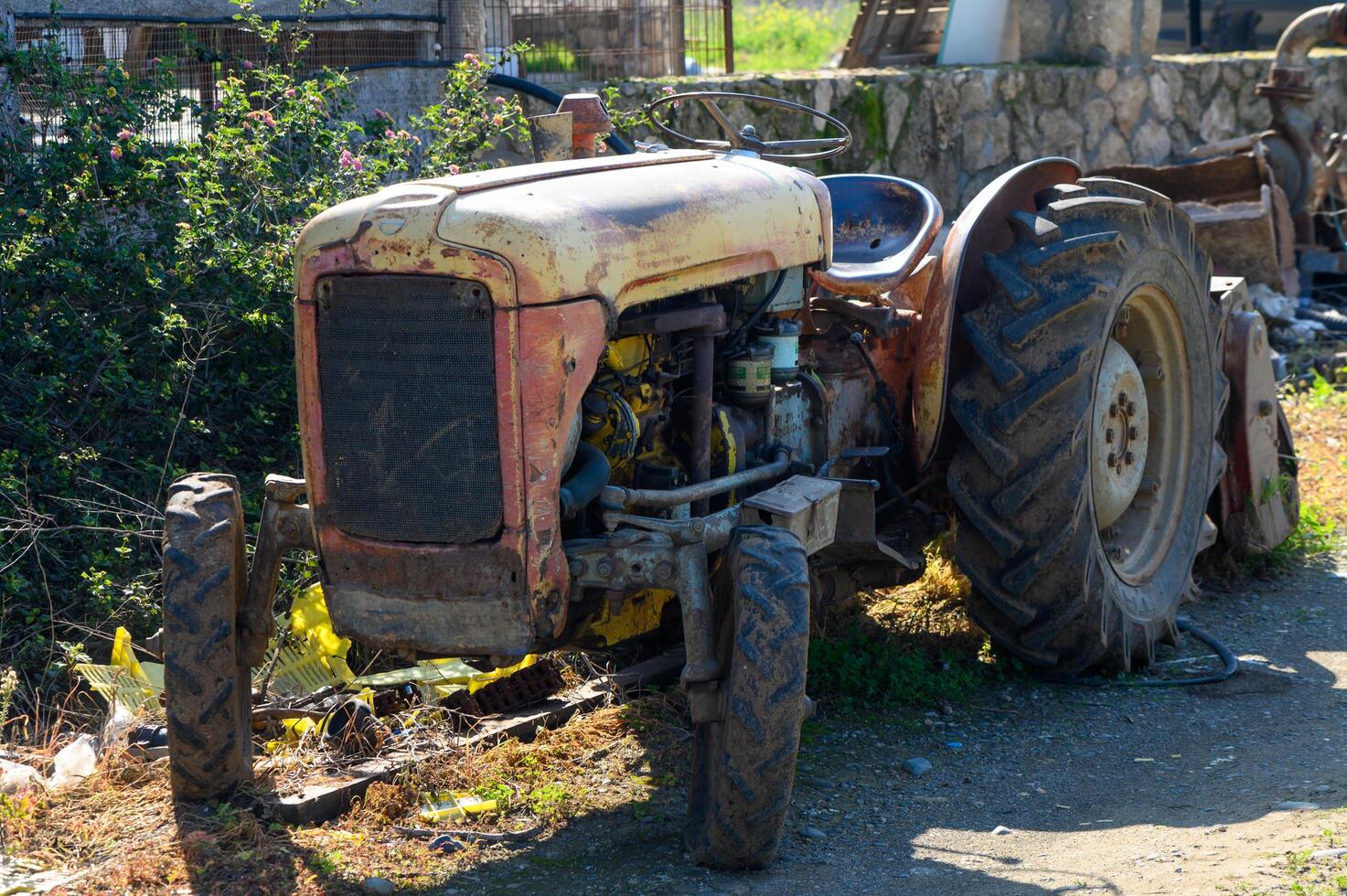 Gaziveren Cyprus -25.01.2025 Vintage tractor resting along the overgrown pathway on a sunny day in the countryside photo