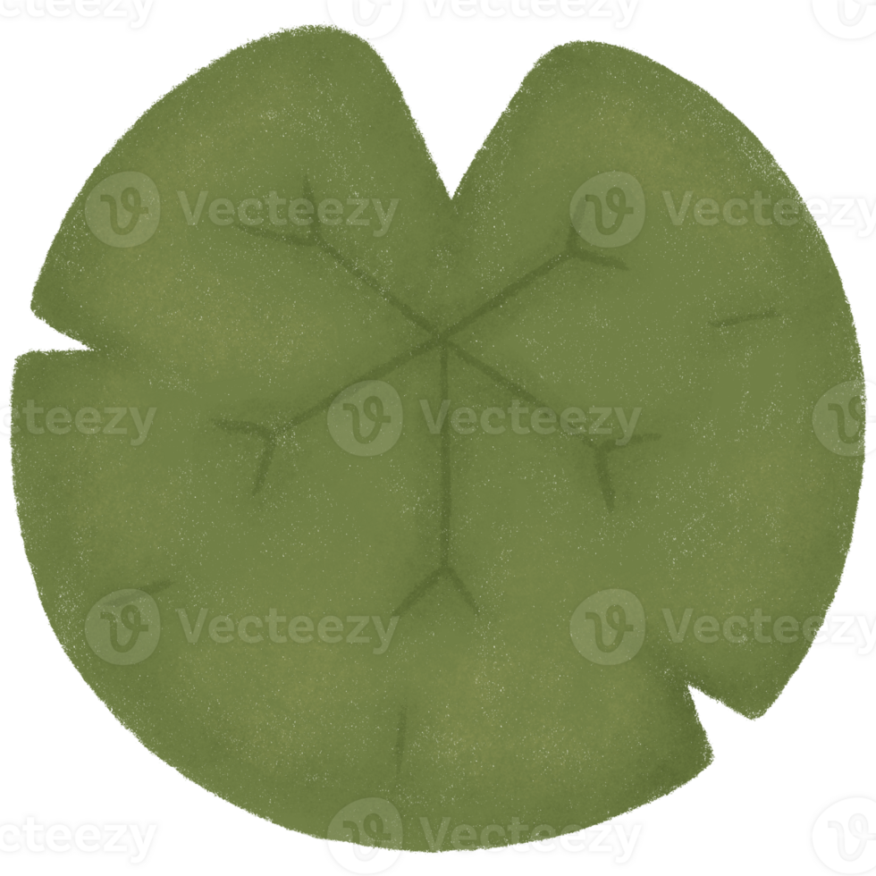 Green lotus leaf png