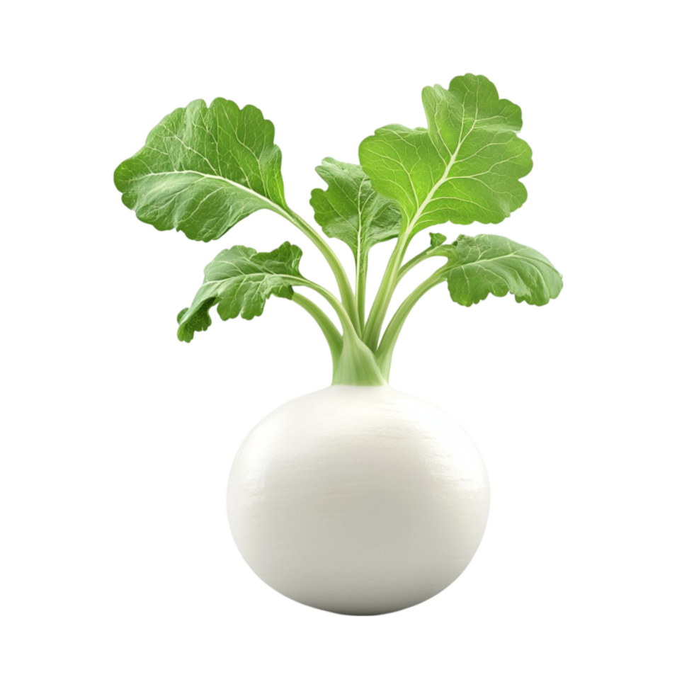 A white vase with a turnip in it png