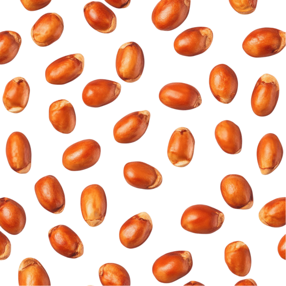 Assorted Nuts Collection png