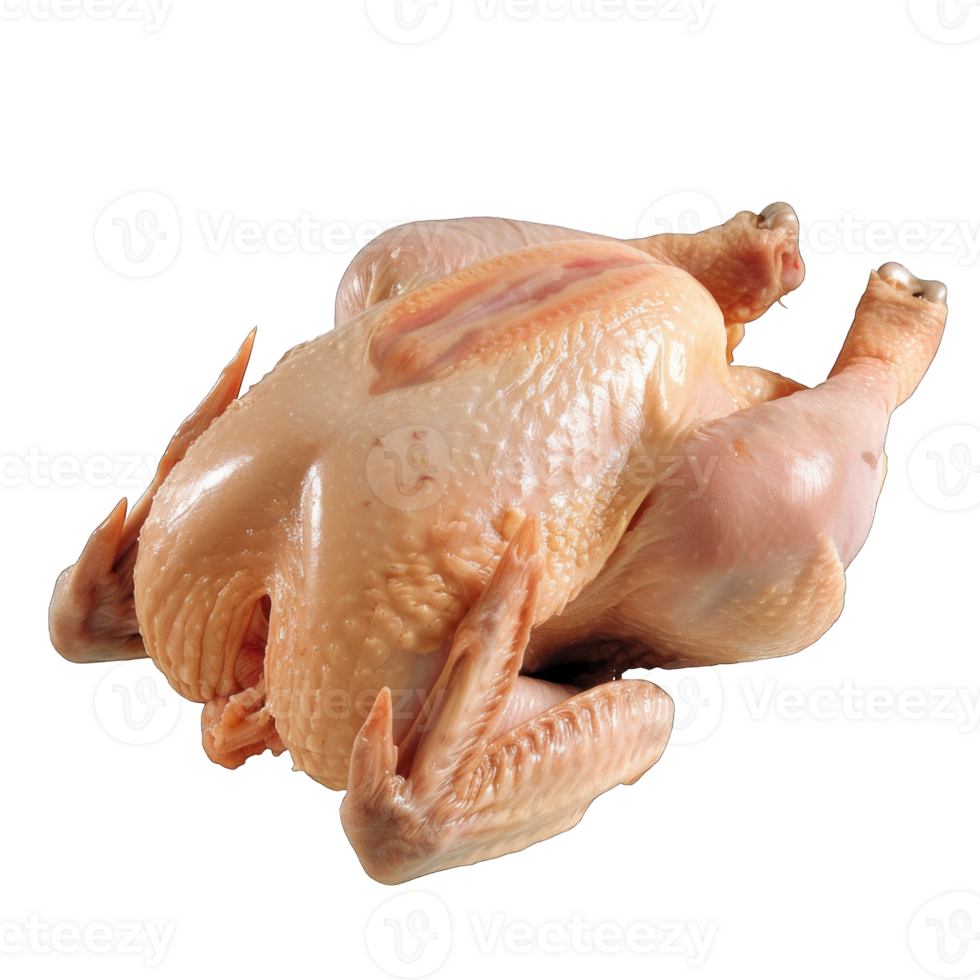 Whole raw chicken png