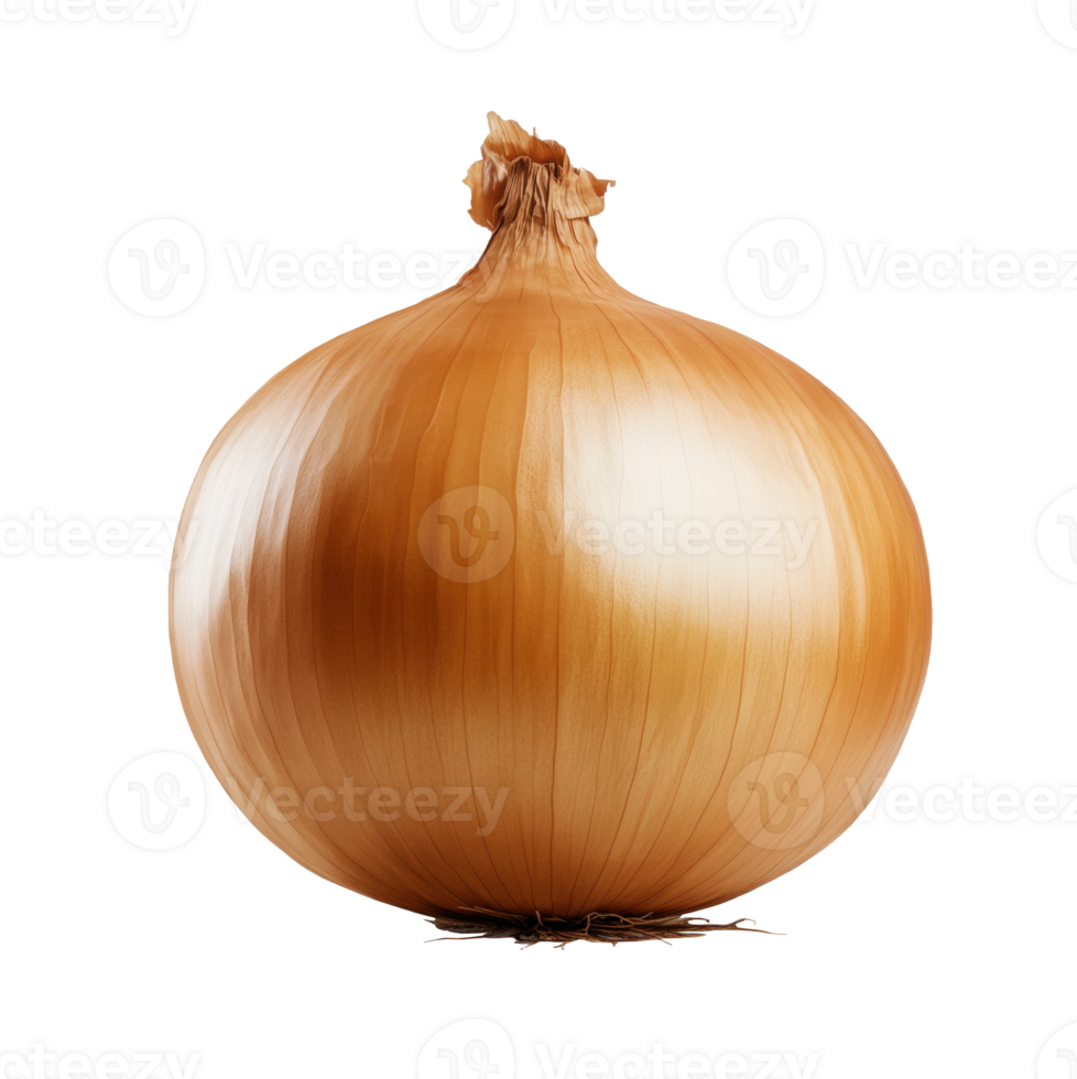 Fresh brown onion with a smooth, shiny surface displayed on transparent background png