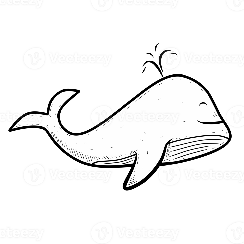 line illustration of a whale isolated png