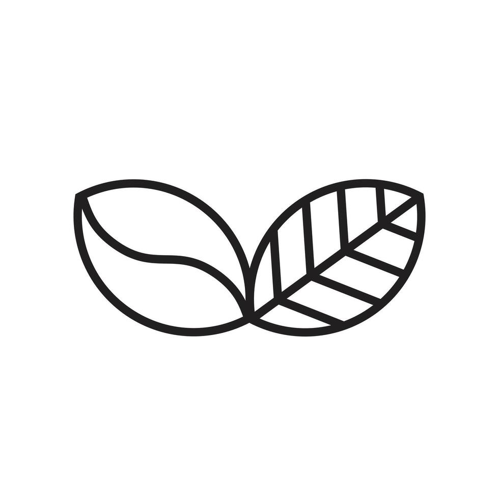 Logo leaf and coffee bean vector