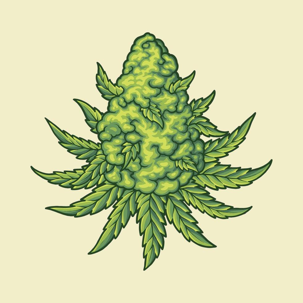 cannabis runtz seed mascot icon illustration vector