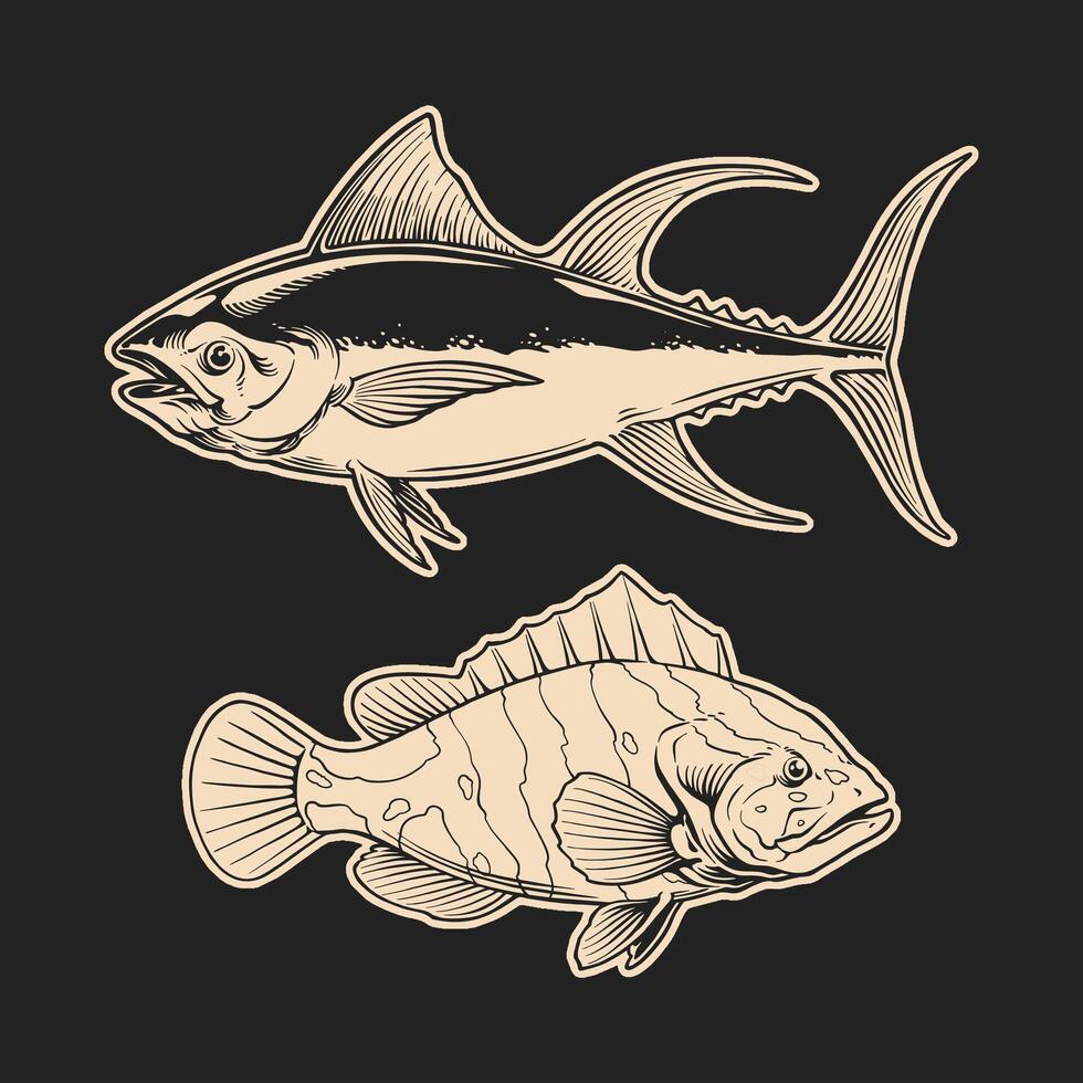 outline drawing tuna and grouper fish illustration vector