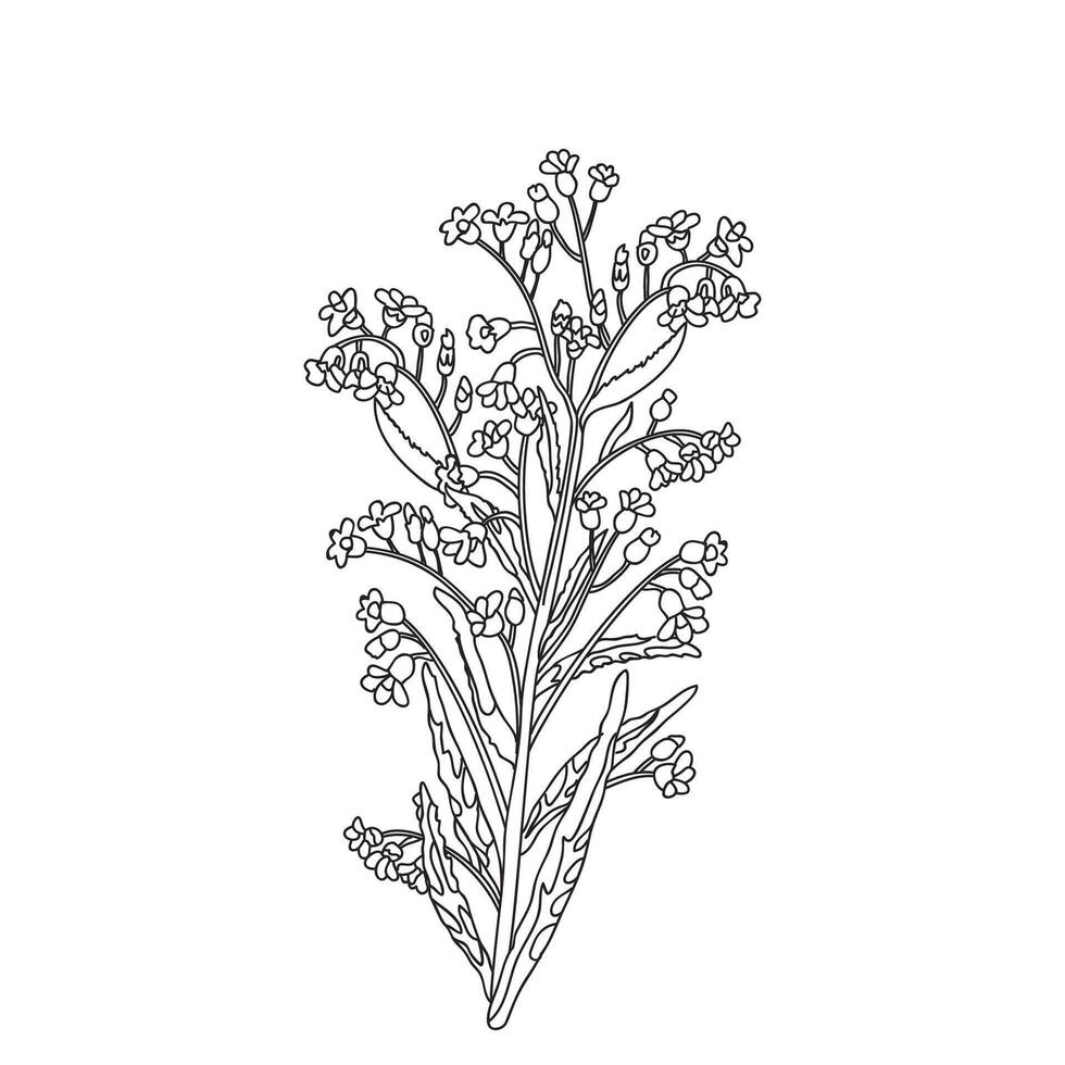 Botanical Line art bouquet of wildflowers isolated on white background. Hand drawn black and white outline plant and flowers illustration. Graphic design for Print Brand Wedding invitation Card vector