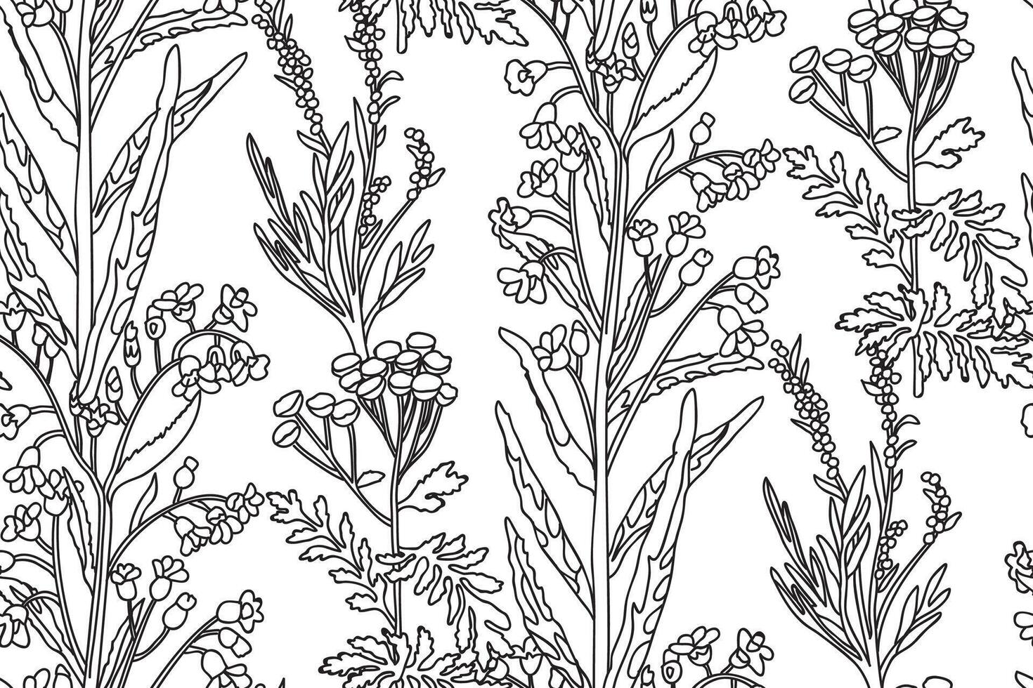 Line art botanical abstract seamless plant pattern with wildflowers illustration. Black and white outline repeating floral background. Graphic design for Wallpaper Textile Print Cover Card vector