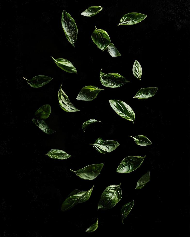 Falling Basil Leaves Dark Background Culinary Photography Fresh Herbs Green Leafy Vegetables Food Photography Studio Shot Minimalist Design photo