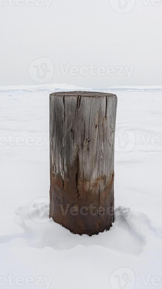 A wooden stump in the middle of the ocean photo