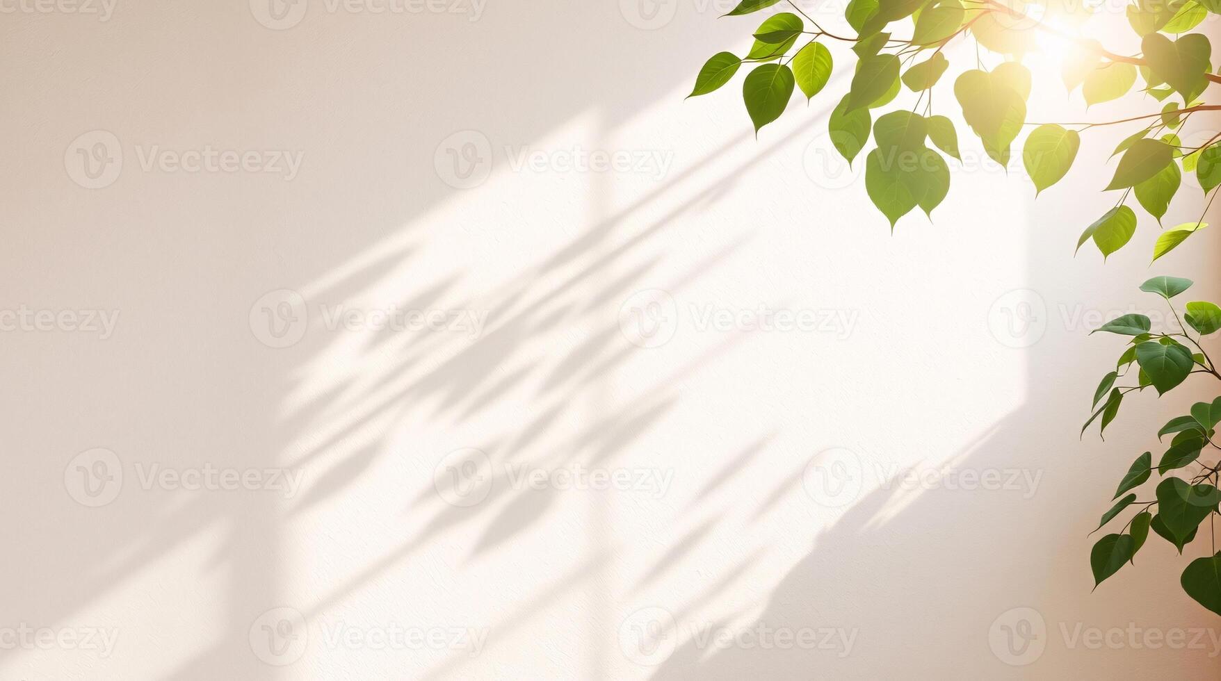 A minimalist off-white plaster wall, gently illuminated by sunlight, with green leaves bringing an organic touch, perfect for a serene and refreshing environment photo