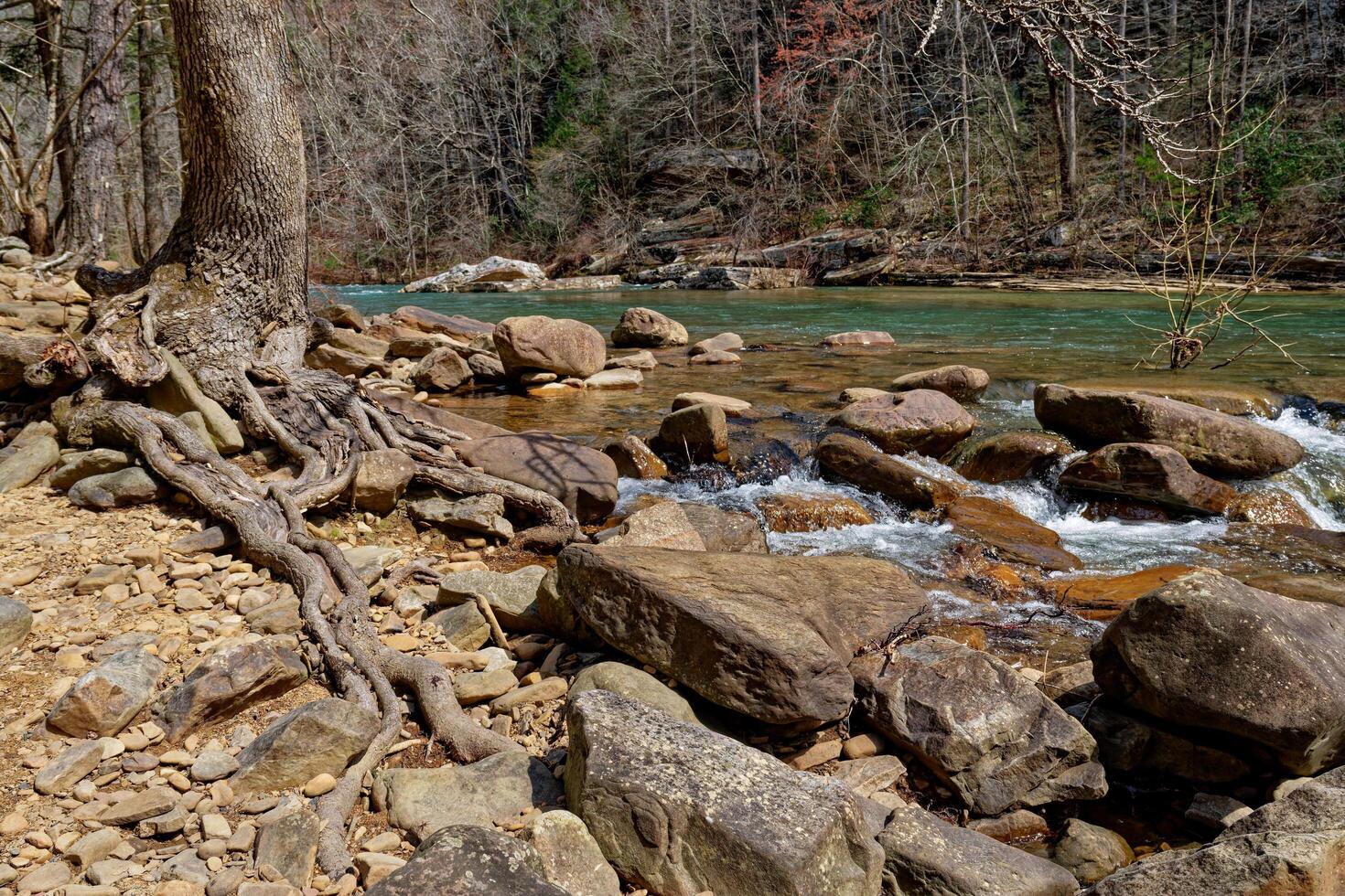 Rocky shoreline along the river closeup photo