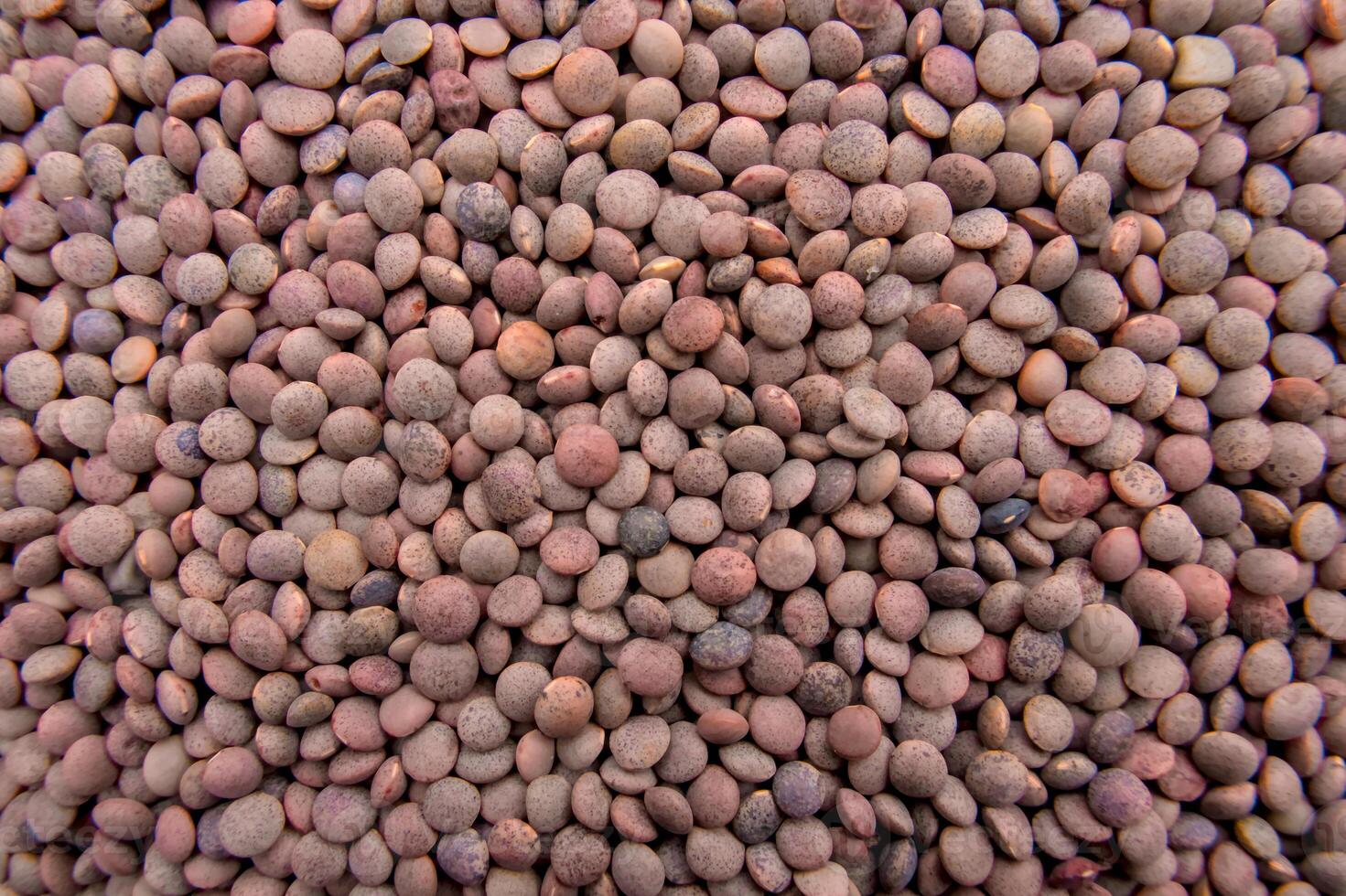Full Frame Whole Brown Lentils Sabut Masoor Texture Close-Up Top View photo