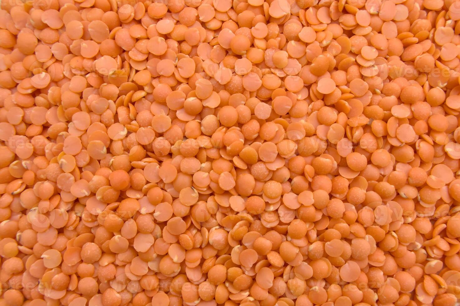 Full Frame Red Lentils Masoor Dal Top View Texture Close-Up photo