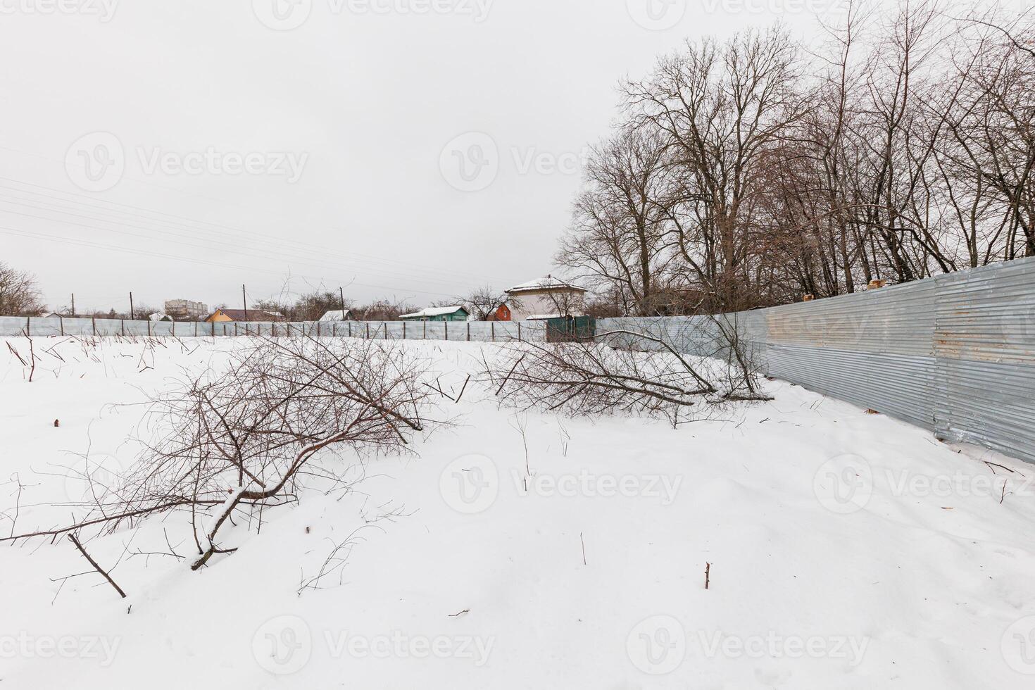Whispers of Winter A Tranquil Snow-Covered Yard with Glistening Metal Fencing and Majestic Bare Trees Standing Guard photo