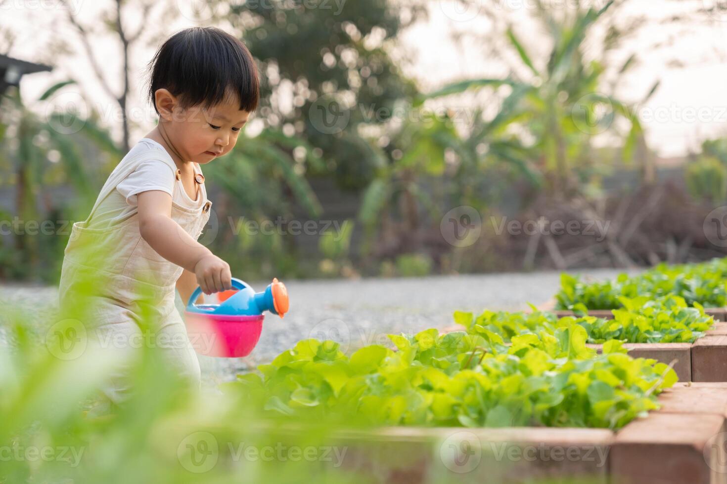 organic vegetable farm. Children watering organic vegetables . Non toxic vegetable grow naturally. greenhouse garden, Ecological Biological, Healthy photo