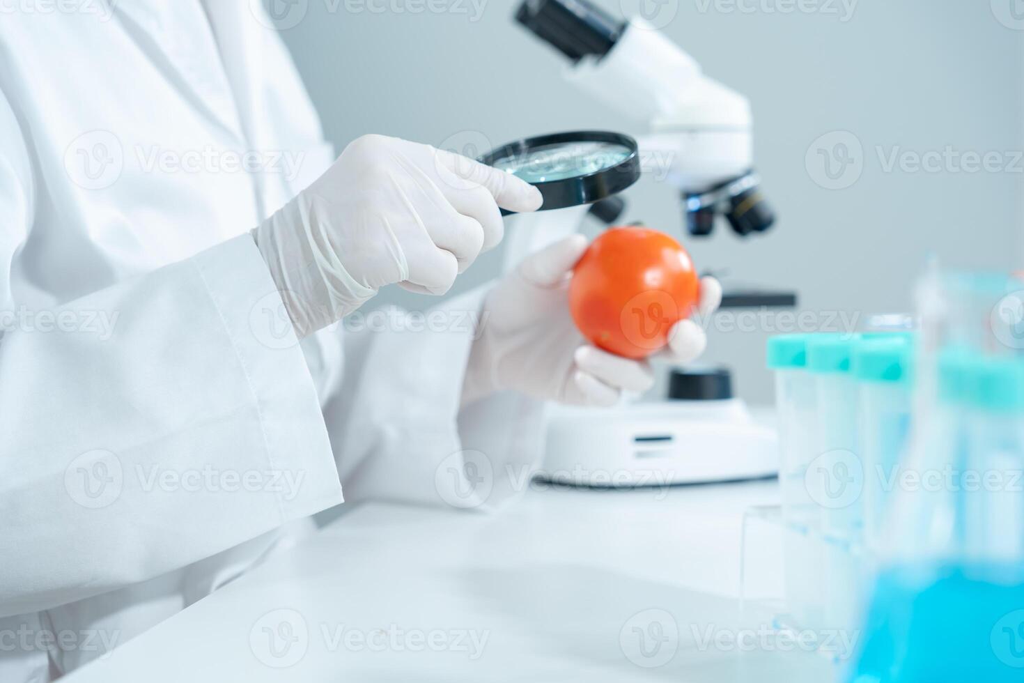 Scientist check chemical food residues in laboratory. Control experts inspect quality of vegetables vegetables. lab, hazards, find prohibited substances, contaminate, Microscope. photo