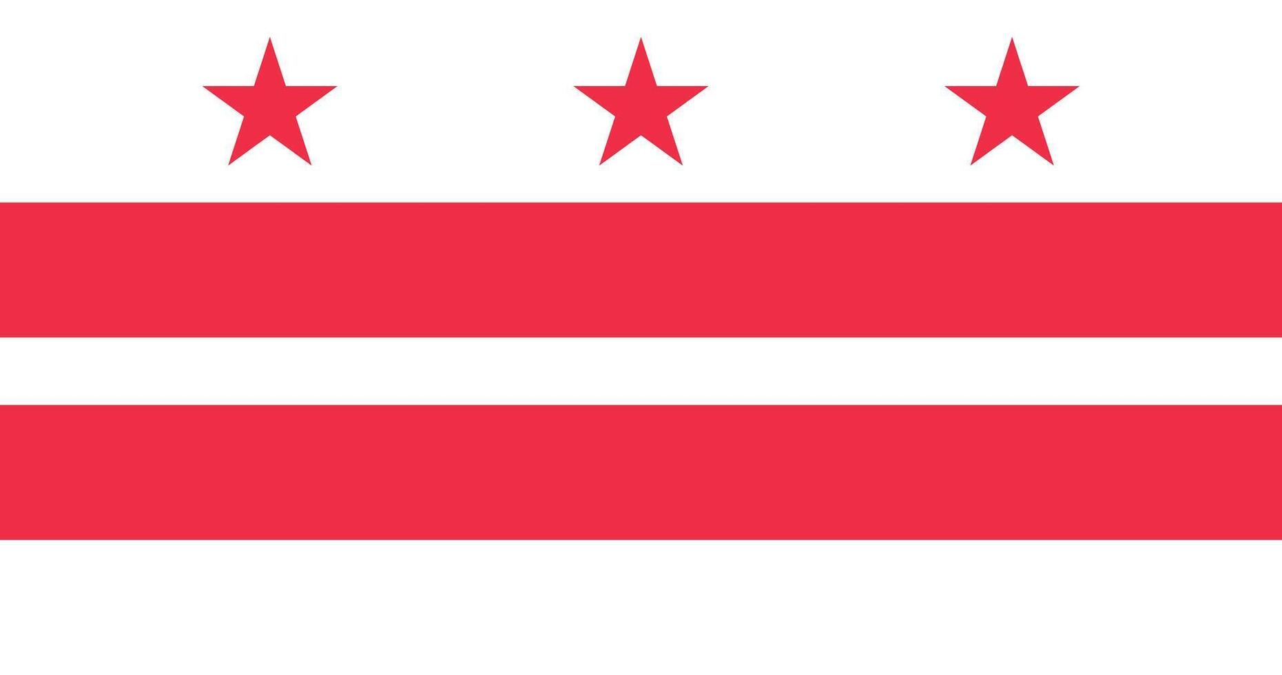 Washington DC Flag Illustration Premium Quality vector