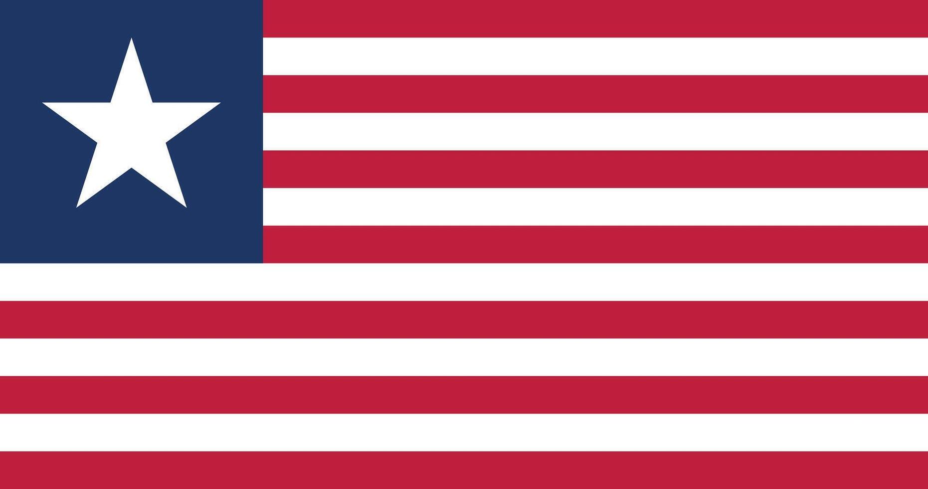 Naval Ensign of Texas Flag Illustration Premium Quality vector