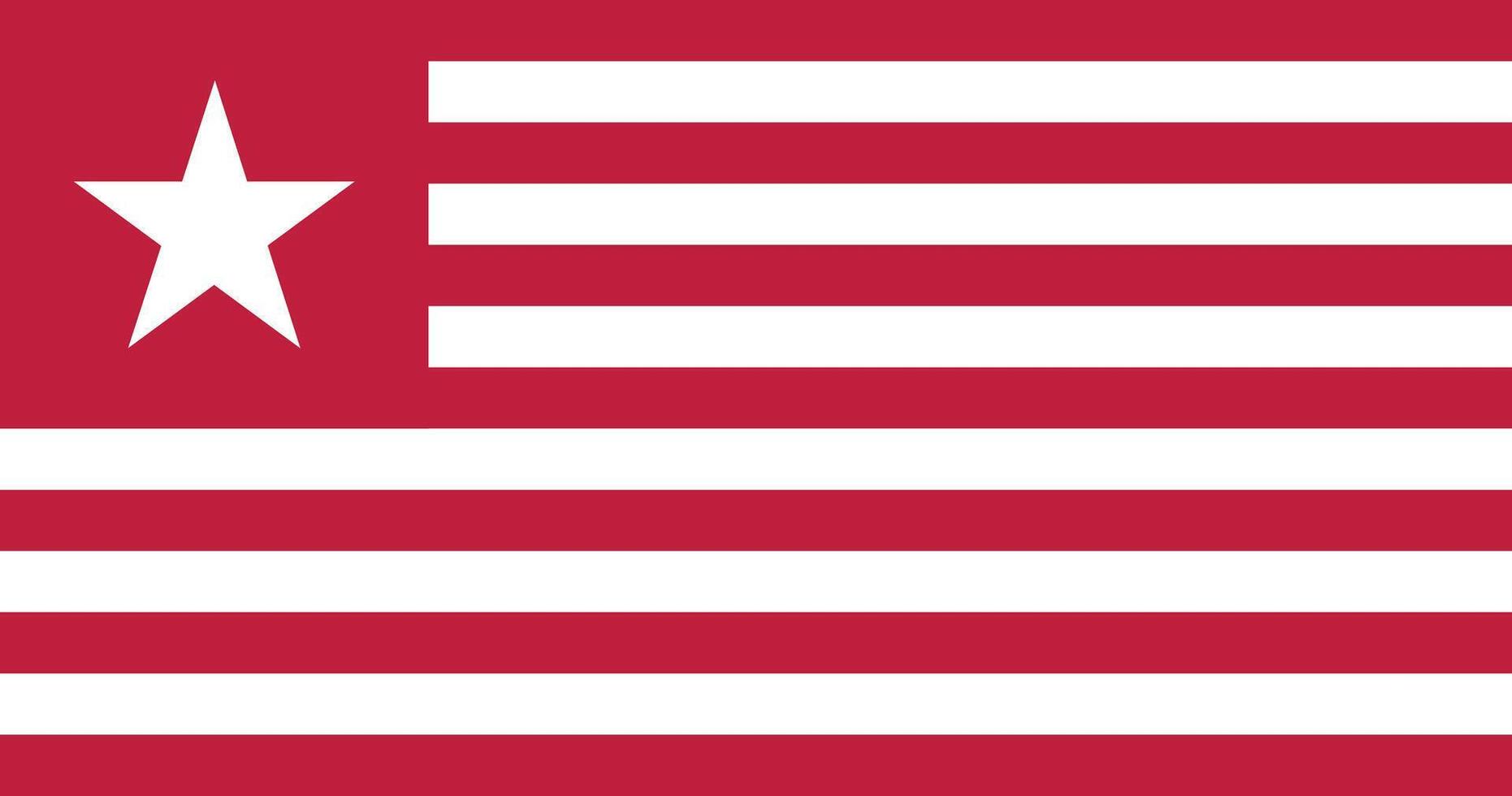 Colonel James Long's Flag Illustration Premium Quality vector