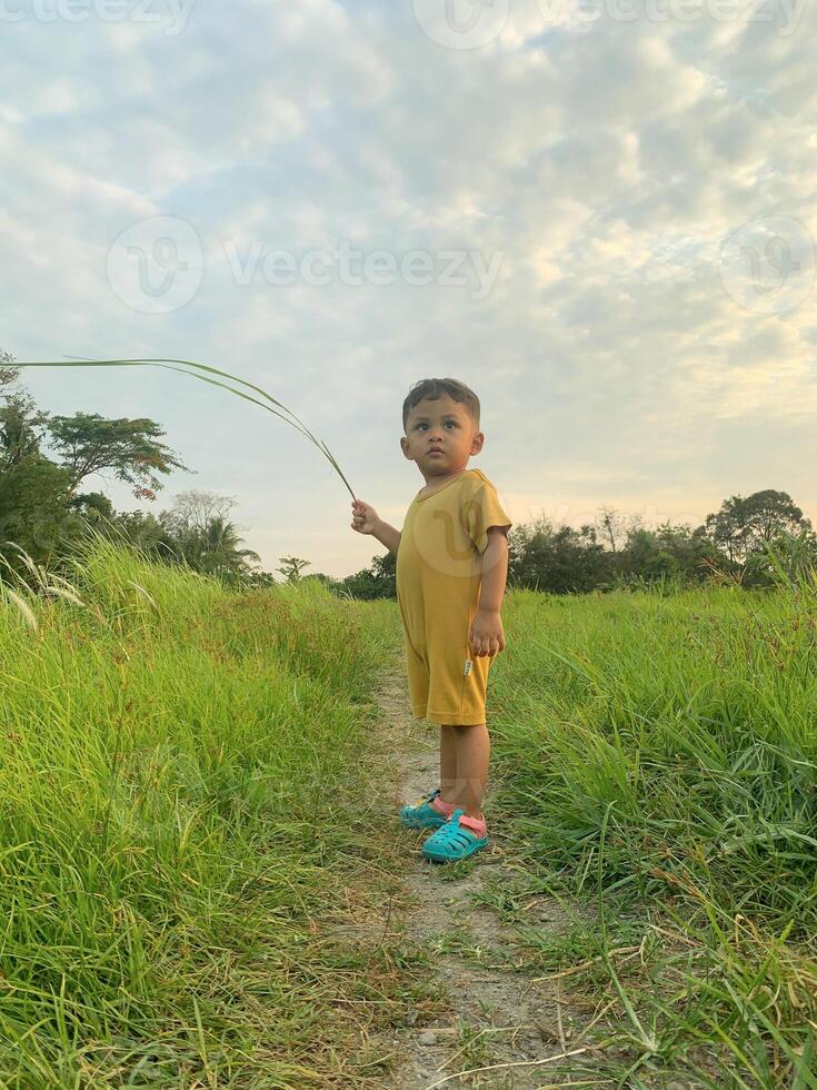 asiático chico jugando en el prado ver cielo foto