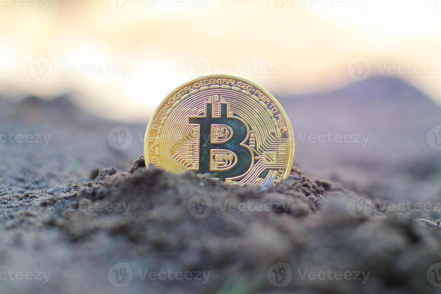 Coin bitcoin in the ground. The concept of bitcoin growth. photo