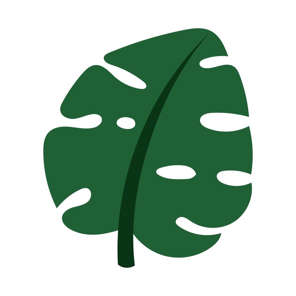 A tropical leaf. Exotic palm trees and flowers in a flat style. Banana leaves, tropics and monsters are highlighted on a white background. Green insulated leaf vector