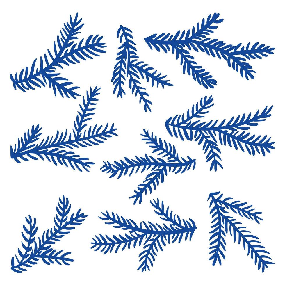 Christmas fir branch, evergreen tree, fir, cedar twig, icon, winter plants, New Year tree, festive decoration. Artificial blue branches. Insulated decor decoration. Hand-drawn illustration vector