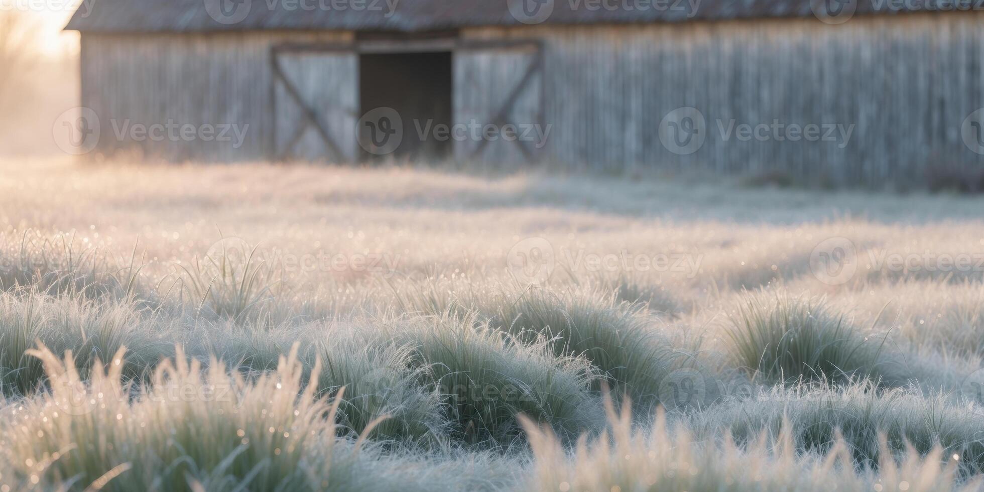 Frosty Morning Light on Grass with Barn Backdrop photo