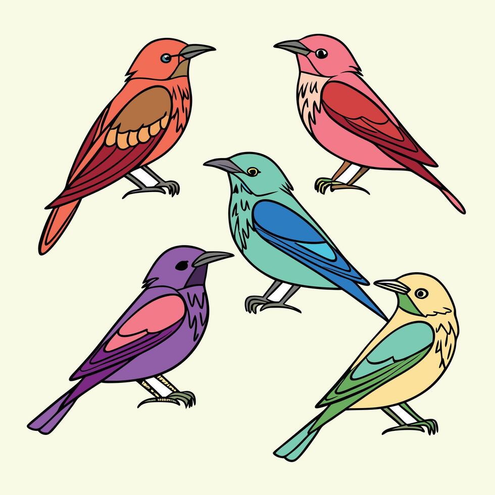 Creative Collection of various Birds Illustration Design vector