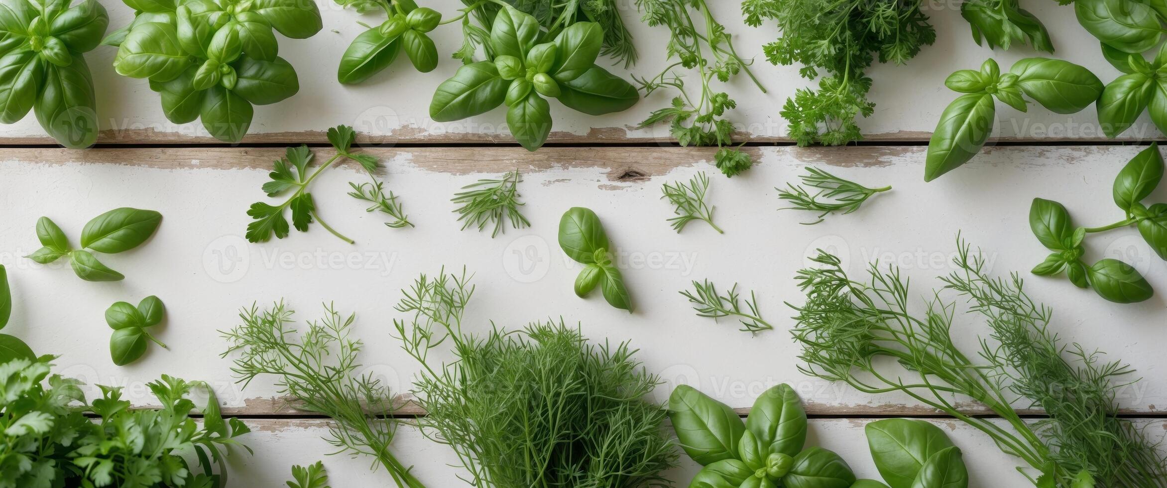 Aerial view of fresh green garden herbs like basil dill and parsley arranged on a rustic wooden table with ample space for text at the bottom photo