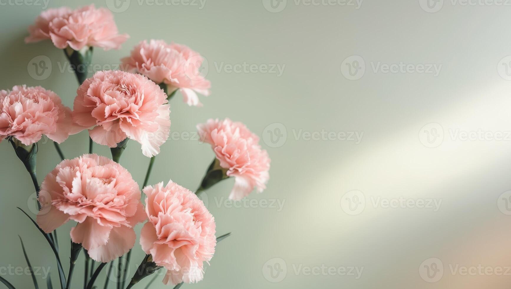 Blush pink carnations on pale green background with copy space photo