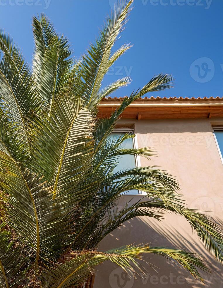 Serene Tropical Resort with Palm Tree and White House Architecture photo