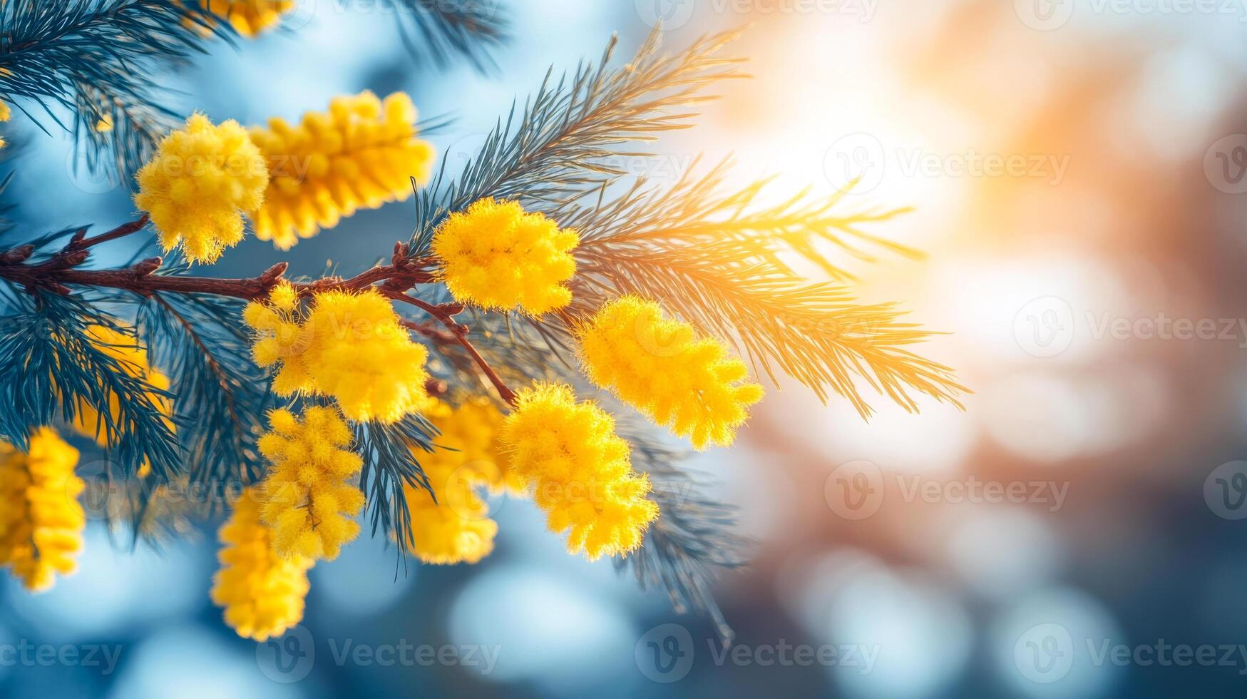 A tree branch is filled with yellow flowers, and the sun is shining brightly on them. The sunlight highlights the bright yellow petals, creating a warm and inviting atmosphere photo