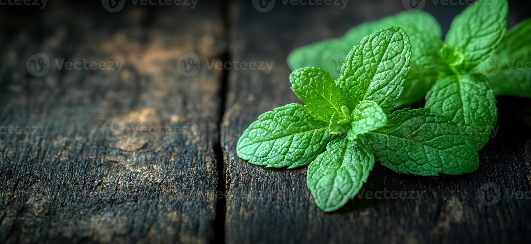 Fresh mint leaves on wooden surface. Fresh mint leaves are resting on a dark wooden surface in a natural setting, showcasing their vibrant color and texture. photo