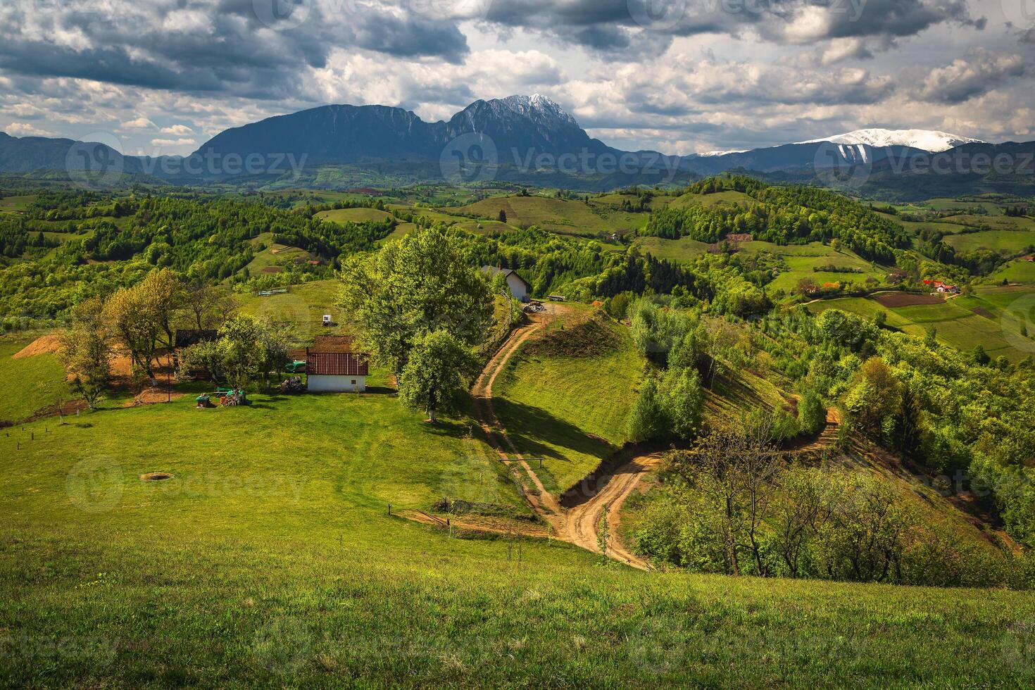 Rural road and ranch on the slope, Holbav, Romania photo