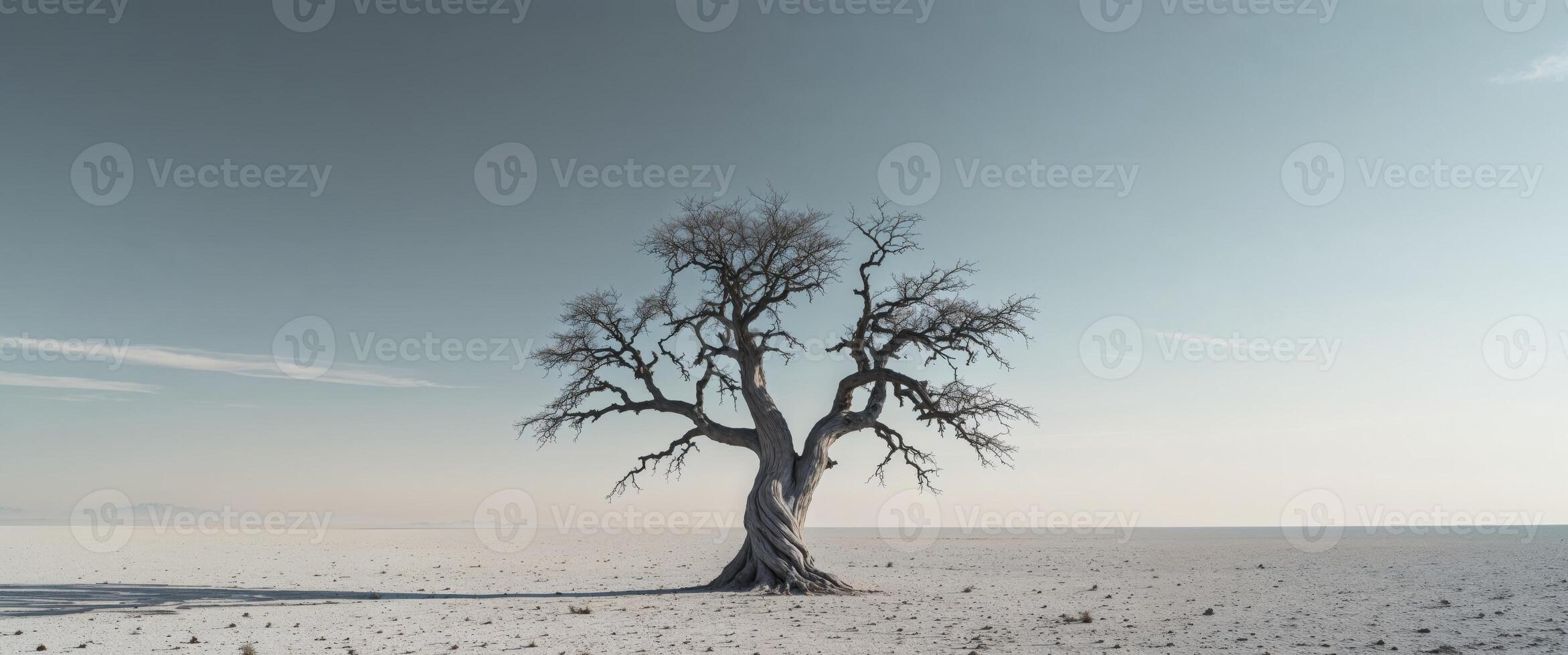 Resilient Tree in Arid Landscape Symbolizing Strength and Endurance with Clear Blue Sky Ideal for Inspirational Text and Messaging photo