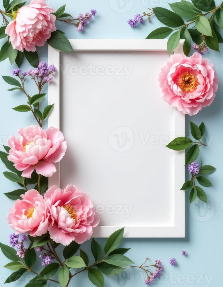 Pink peonies flowers frame on blue background with copy space for text photo