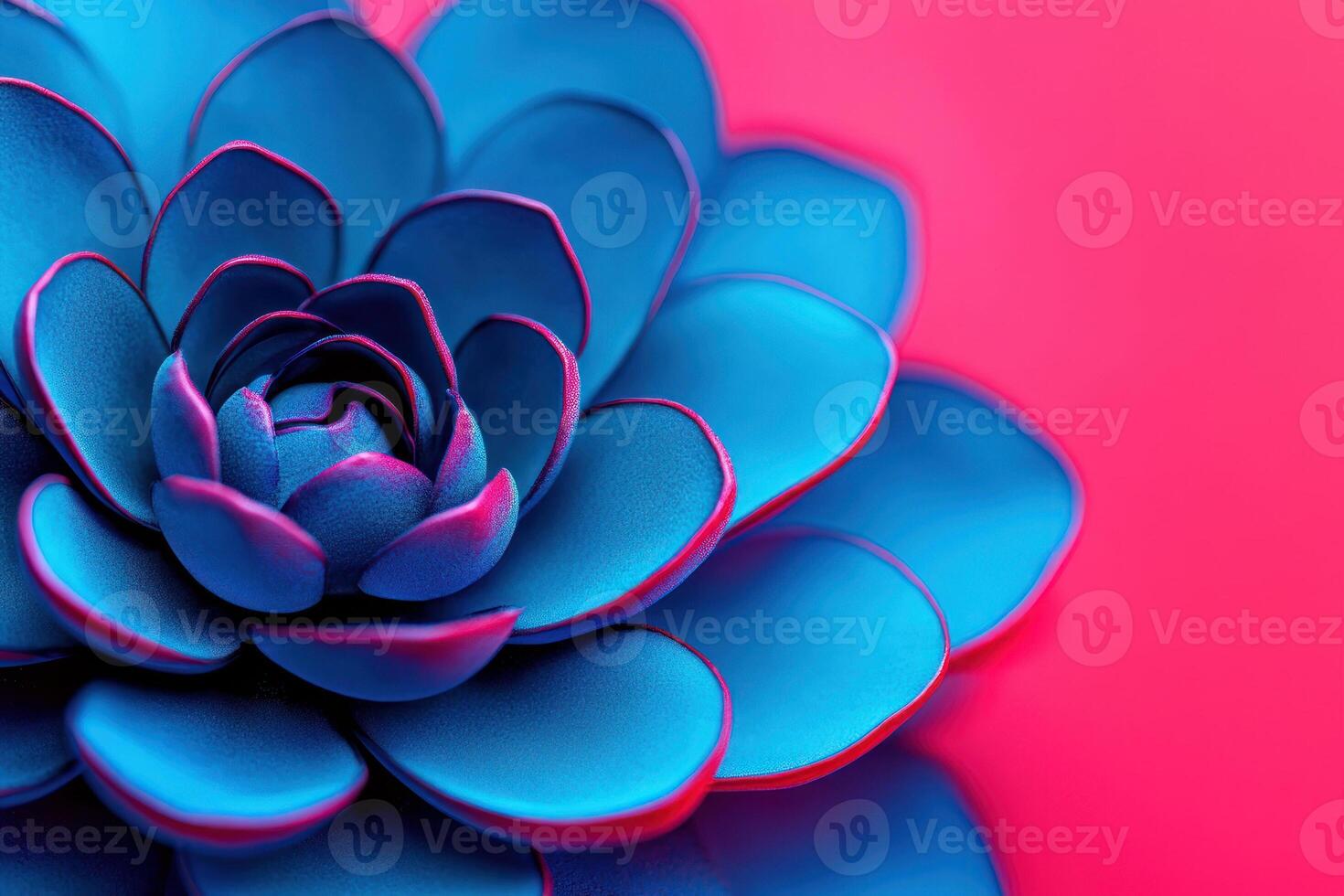 A vibrant blue succulent against a vivid pink background, showcasing natural beauty. photo