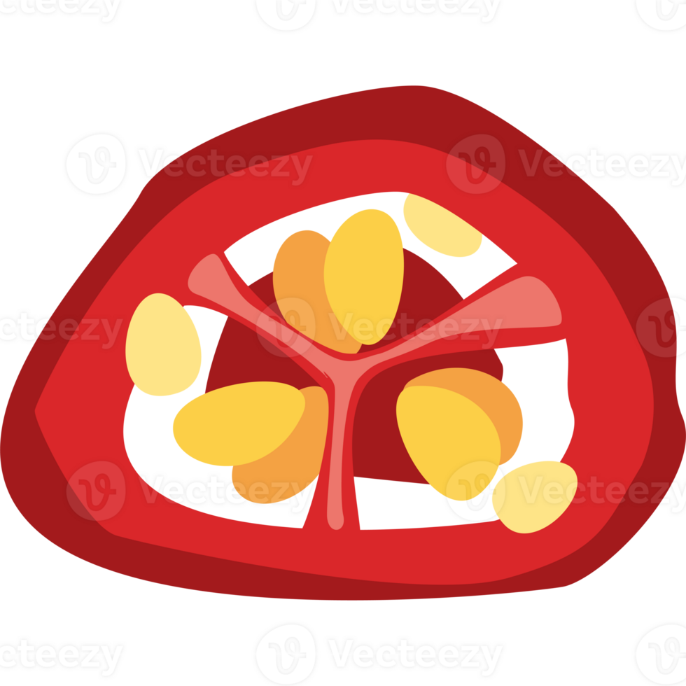 Red Chili pepper slice illustration isolated png