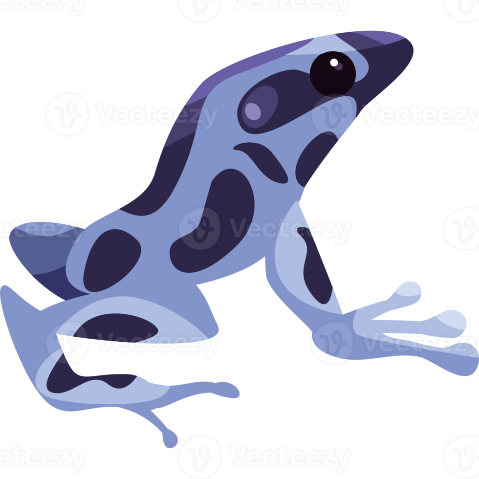 Blue frog mascot illustration isolated png