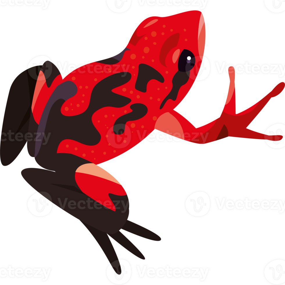Red frog mascot illustration isolated png