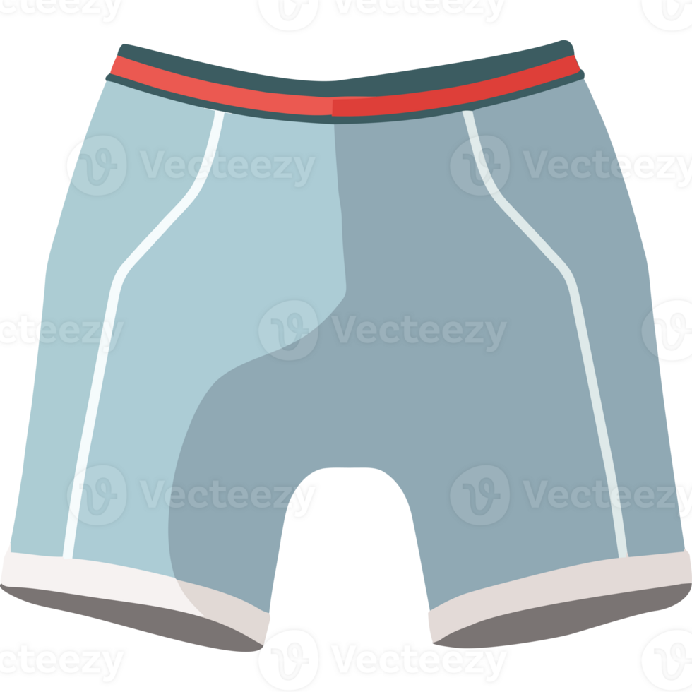 Modern sports clothing underwear icon png