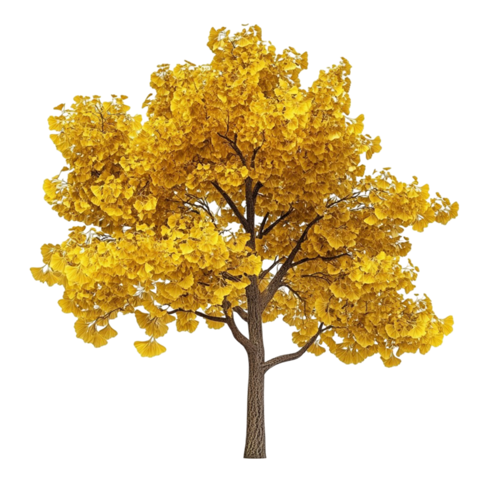Yellow Tree on Transparent Background png