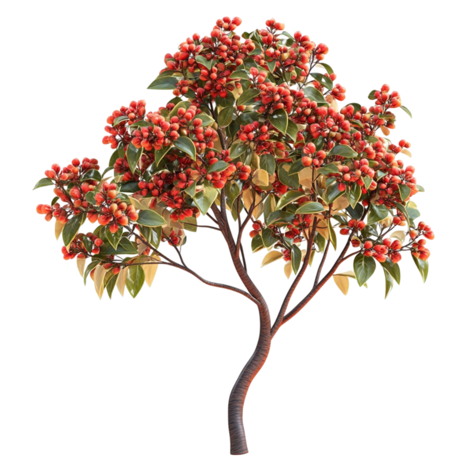 Tree with Red Berries png