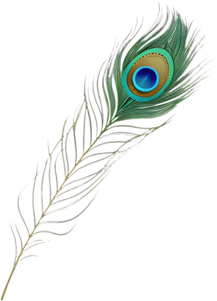 Colorful peacock feather icon with intricate feather details. . png