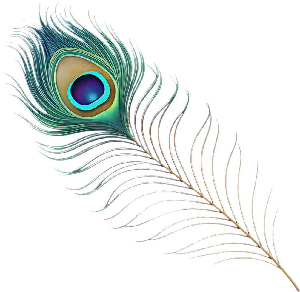 Beautiful peacock feather design with rich color patterns. . png