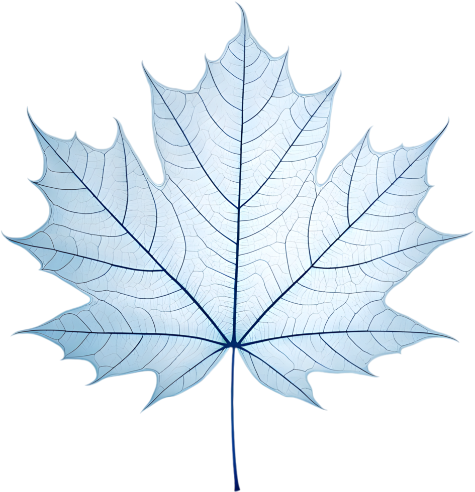 Intricate leaf texture and vein patterns in translucent nature clipart. . png