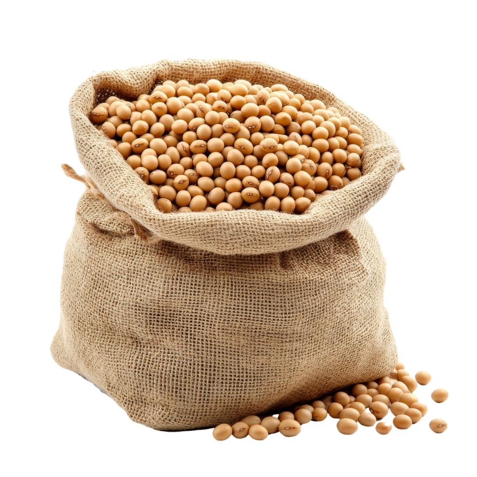 A burlap sack overflowing with soybeans isolated on a transparent background, showcasing the agricultural produces abundance, Heap of soybeans isolated png