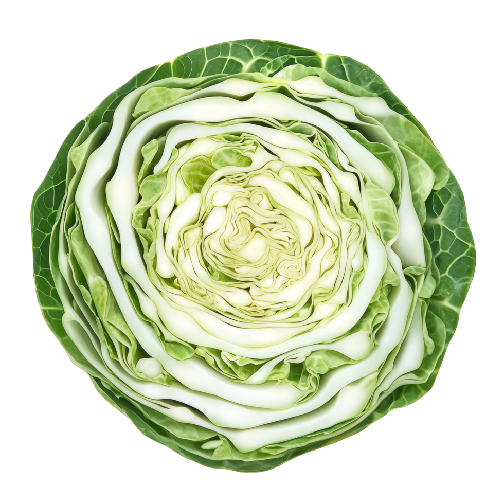 Freshly sliced cabbage arranged in a circular pattern isolated on a transparent background, slice cabbage isolated on transparent background png